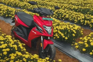 electric scooters now on Amazon & Flipkart!