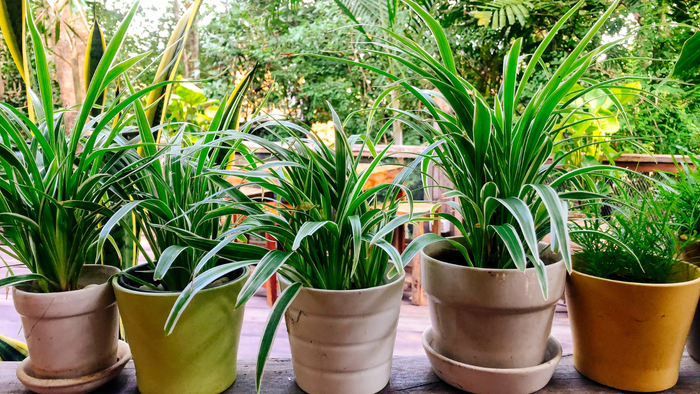 Correct preparation of the drainage hole